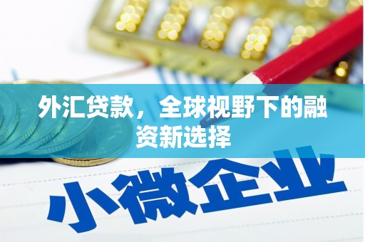 眉山外汇贷款，全球视野下的融资新选择