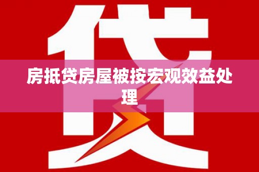 龙圩房抵贷房屋被按宏观效益处理