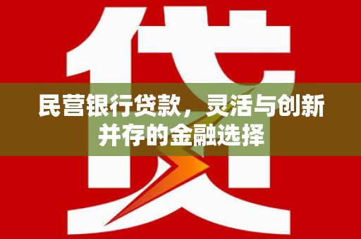 郴州民营银行贷款，灵活与创新并存的金融选择