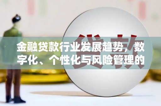 双城金融贷款行业发展趋势，数字化、个性化与风险管理的未来