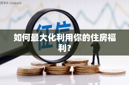 狮子如何最大化利用你的住房福利？