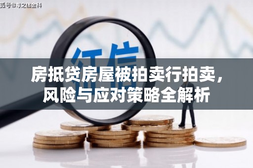 云梦房抵贷房屋被拍卖行拍卖，风险与应对策略全解析