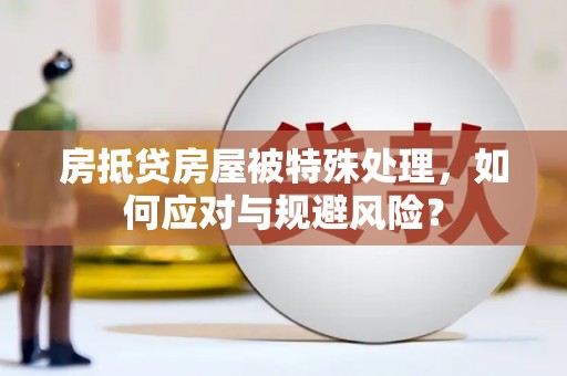保山房抵贷房屋被特殊处理，如何应对与规避风险？