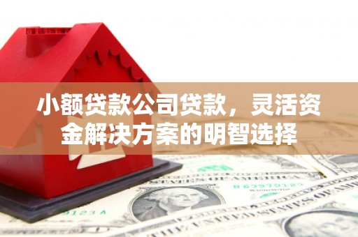闽清小额贷款公司贷款，灵活资金解决方案的明智选择