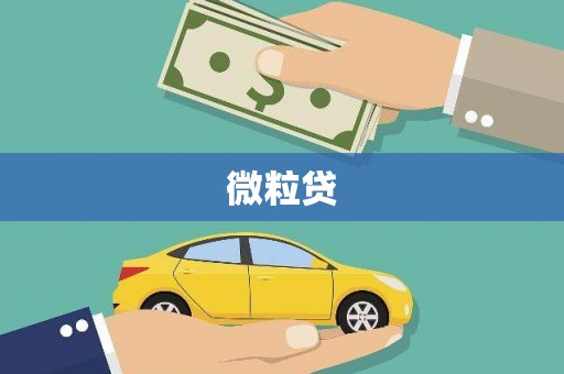 东风微粒贷