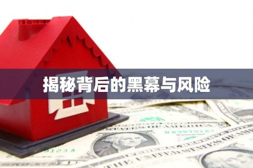 寿阳揭秘背后的黑幕与风险
