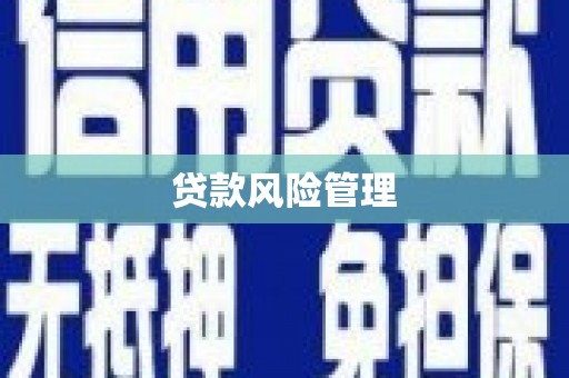 西秀贷款风险管理
